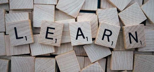 Understanding the learning process is the key to everything